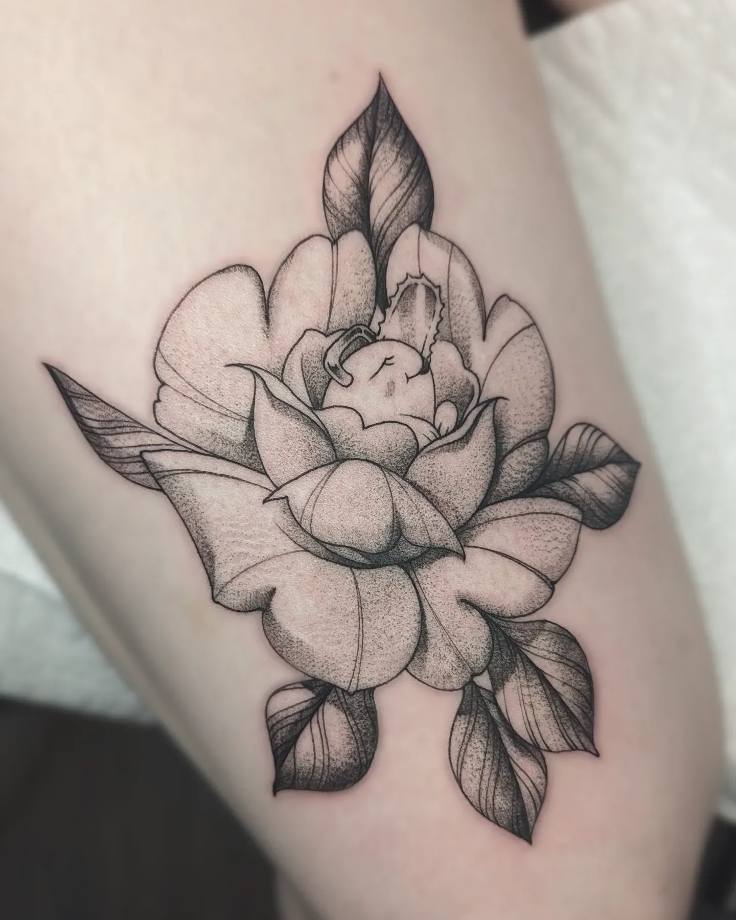 Fox sleeping in flower tattoo raleigh