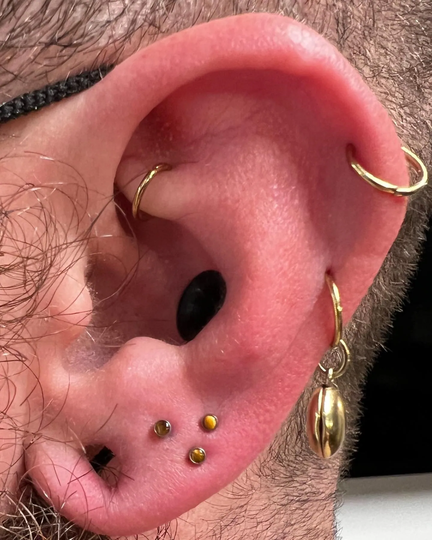 Gold hoop conch helix piercings raleigh