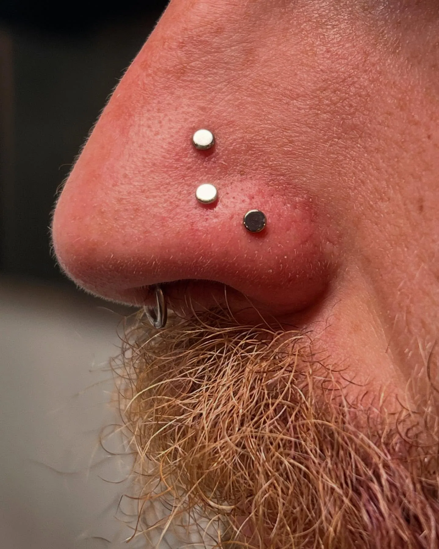 Triple nose tip piercing closeup raleigh