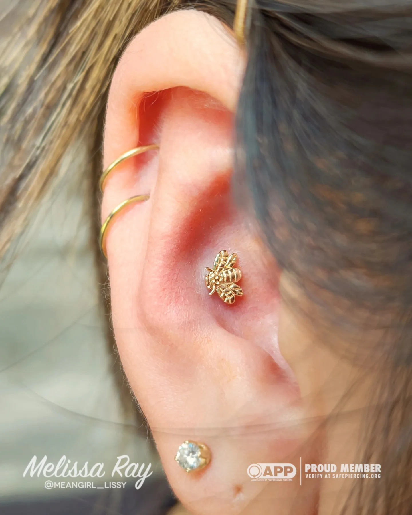 Gold bee conch piercing raleigh