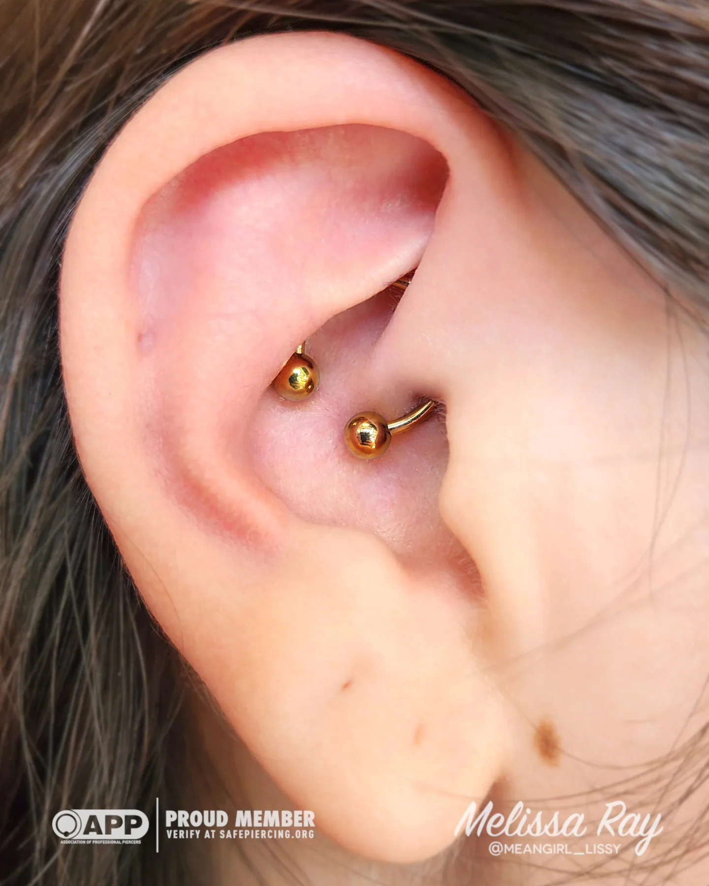 Gold rook piercing curved barbell raleigh