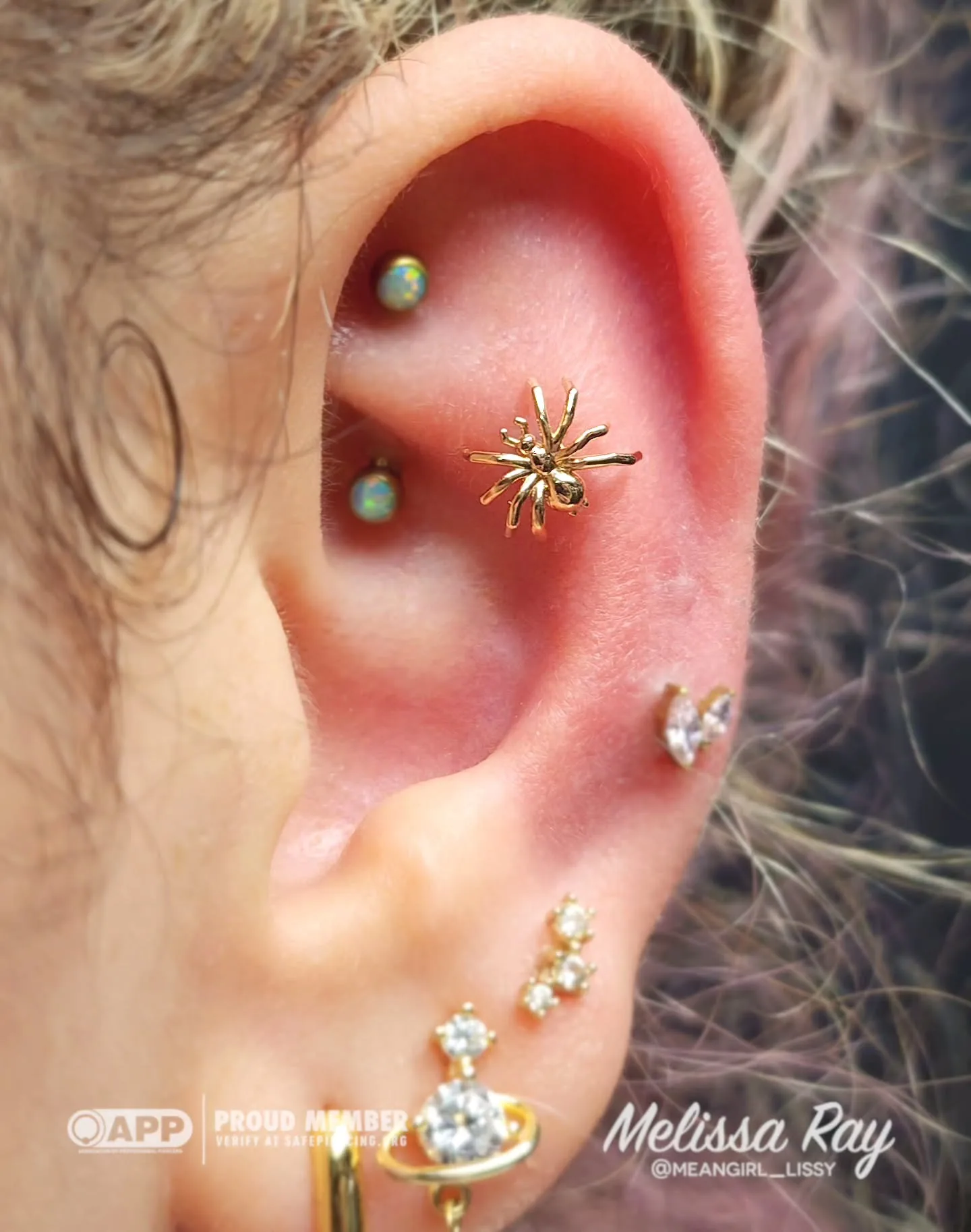 Gold spider ear piercing jewelry raleigh