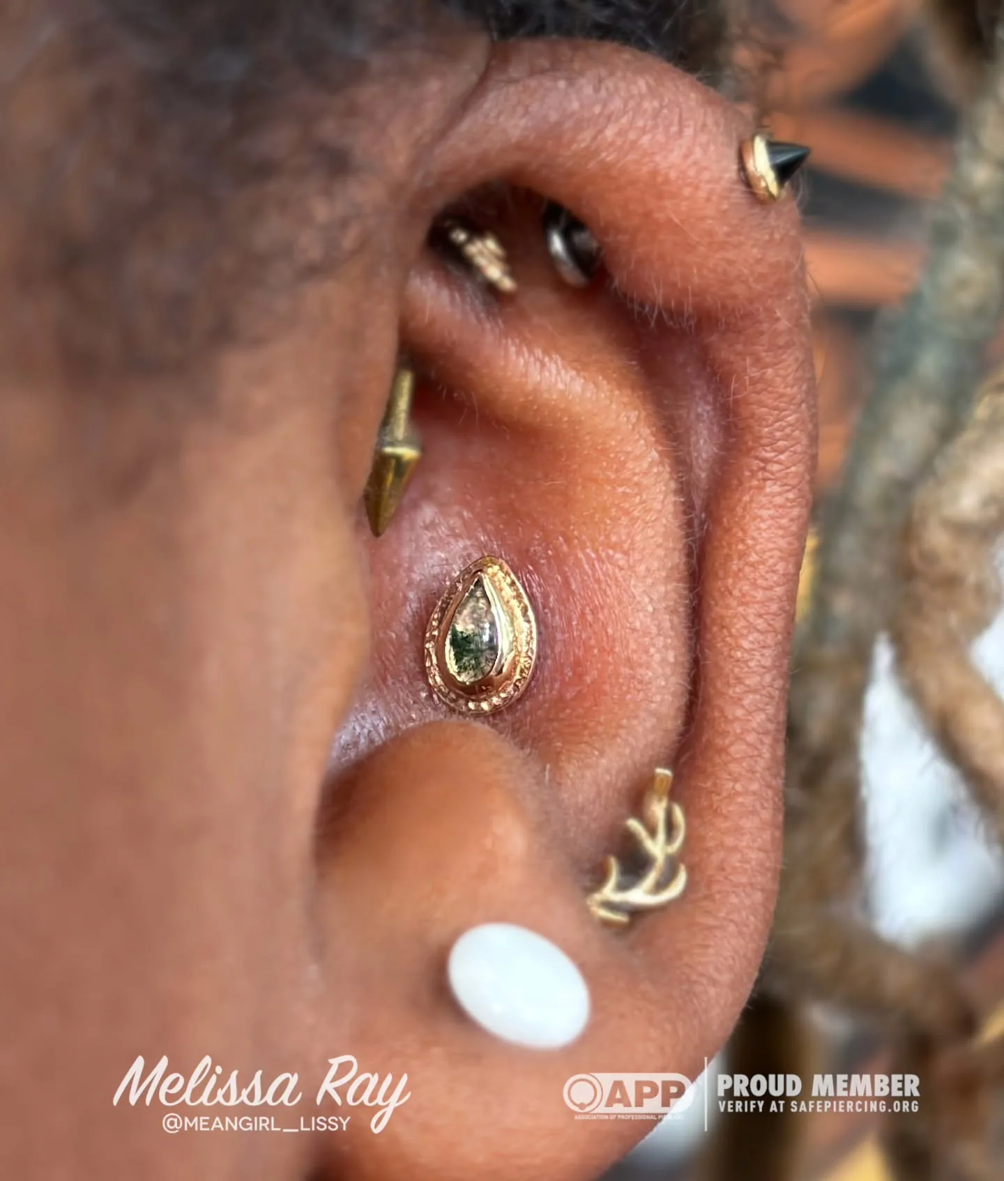 Multiple gold ear piercings conch raleigh