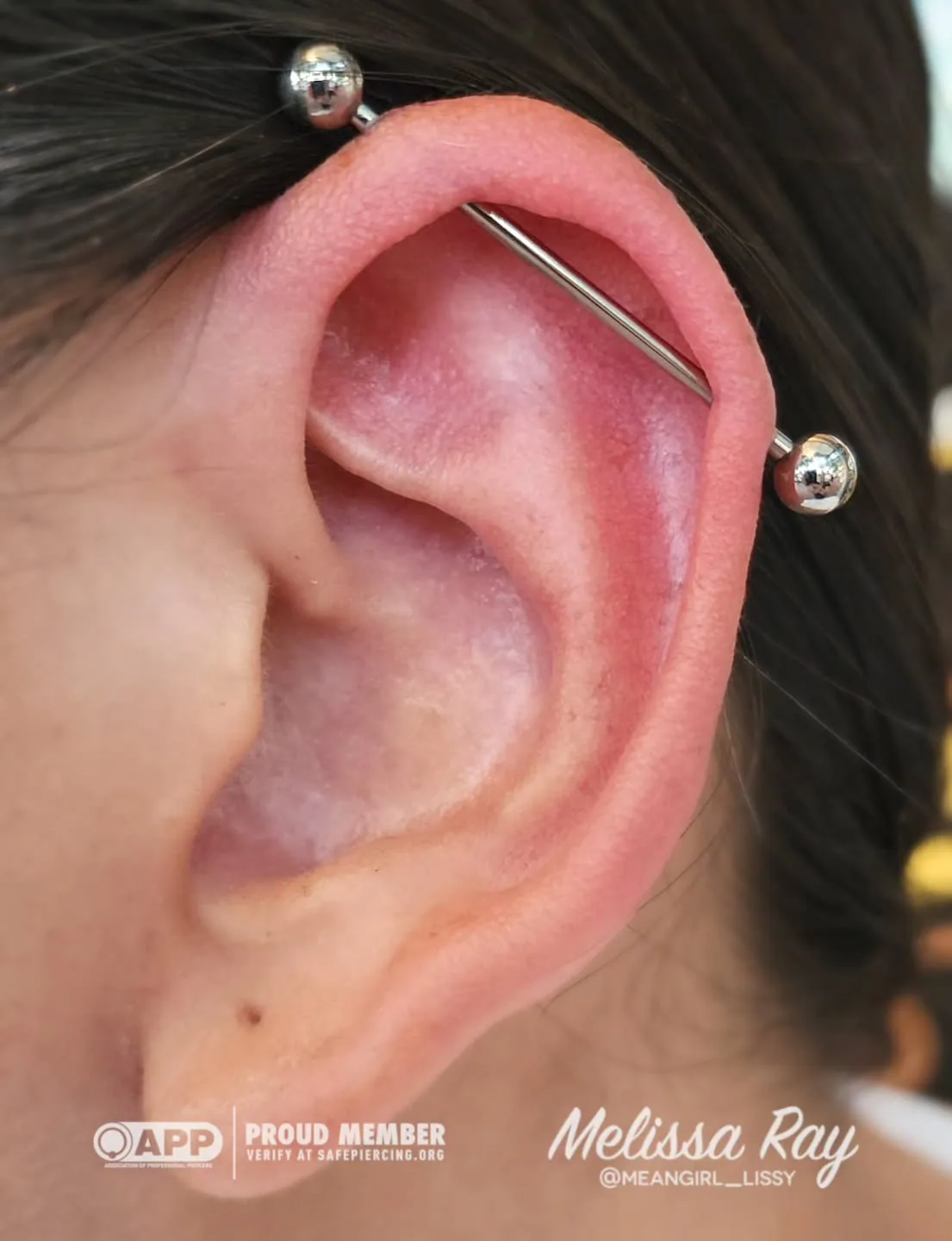 Silver barbell industrial piercing raleigh