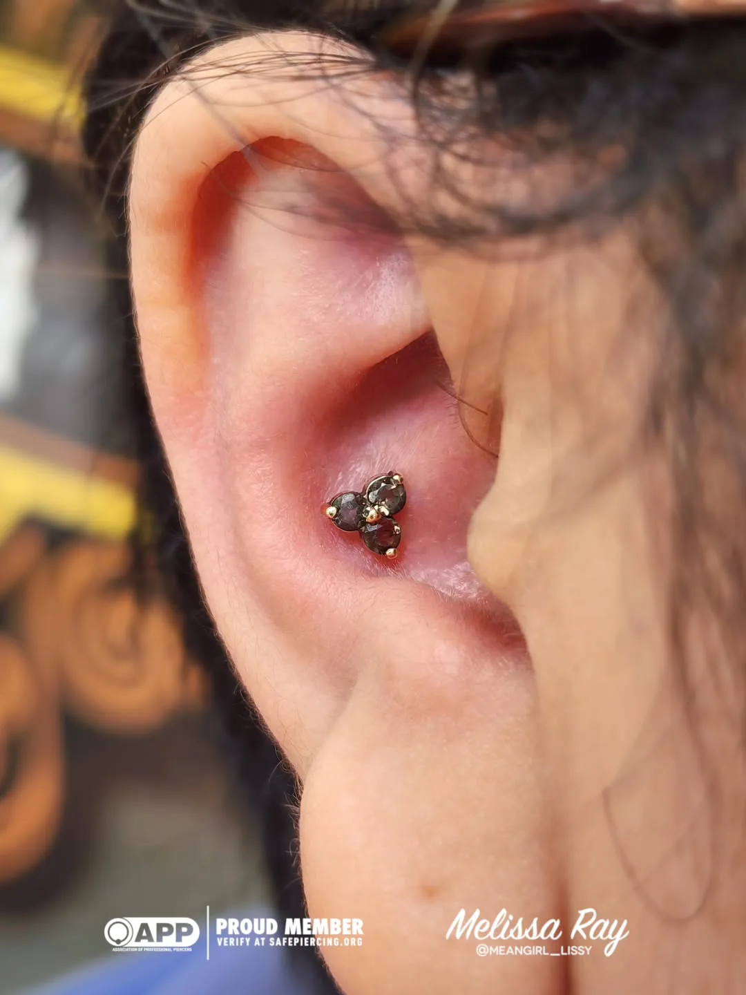 Smoky gem inner conch piercing raleigh